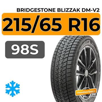 Bridgestone Blizzak DM-V2 215/65 R16 98S