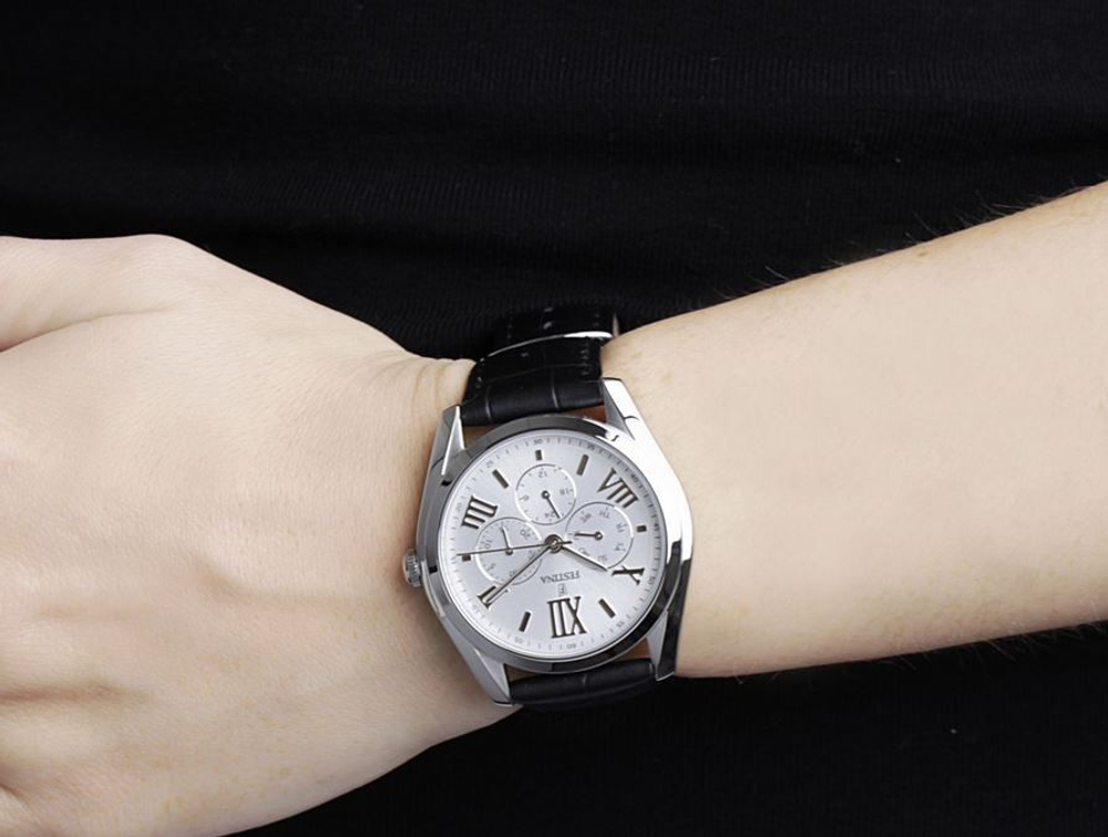 Мужские наручные часы Festina F16752/1