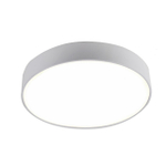 Потолочный светодиодный светильник F-Promo Flashled 2065-30C