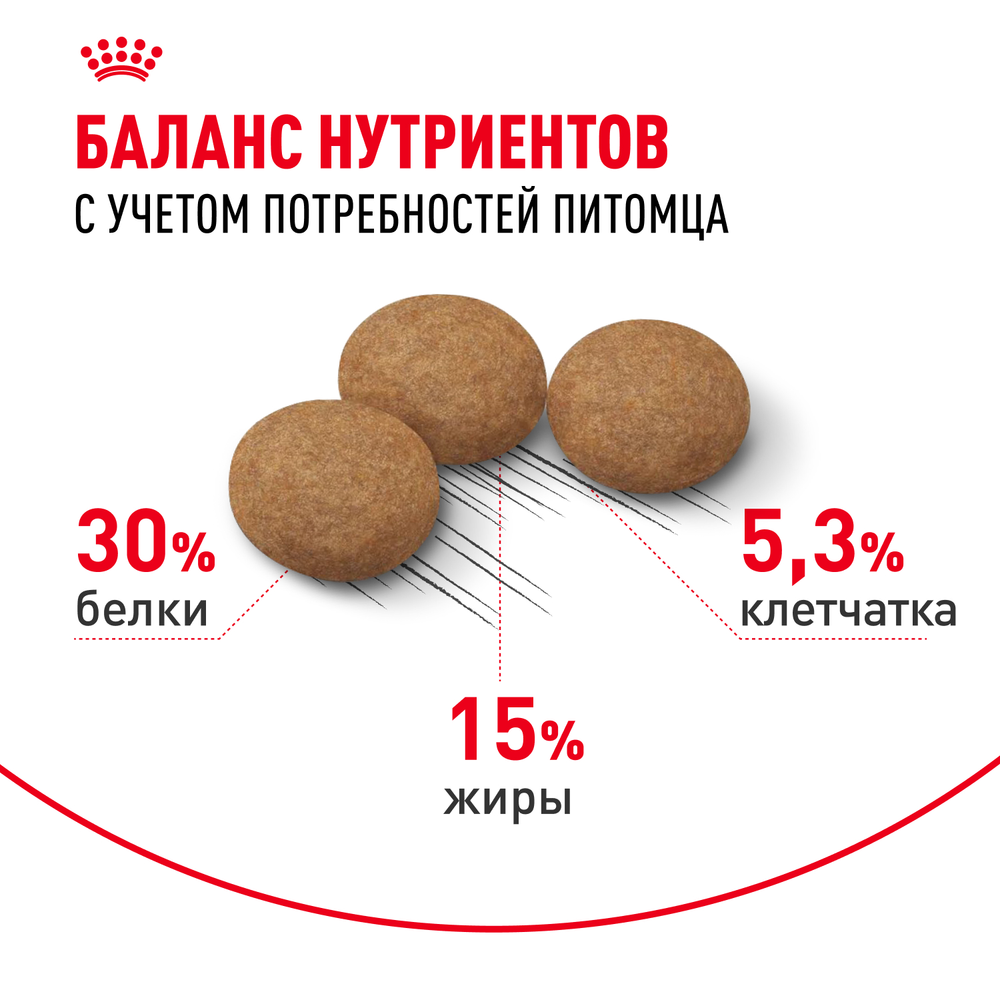 Royal Canin Ageing Sterilised 12+ Корм сухой полнорационный сбалансированный для стерилизованных стареющих кошек в возрасте старше 12 лет 400г