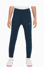 Штаны Nike Therma-Fit Academy Winter Warrior Junior