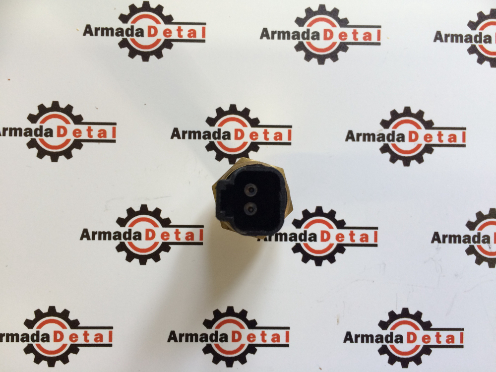 Датчик температуры масла АКПП 1/4 BSP | 701/80627, 701/80394 | Homa Parts