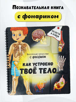 Книжка с фонариком "Как устроено твое тело"