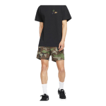 Шорты Nike Sb Flex, CK1103-222