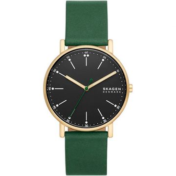 Мужские часы Skagen SKW6861