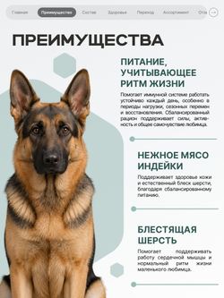 Корм для собак средних и крупных пород SF Immuno Balance, (гистиоцитарные опухоли), 3 кг, QUATTRO