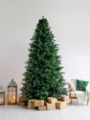 Интерьерная искусственная елка Сказочная Премиум 3,5 м., ствольная, Литая хвоя+ПВХ, Green Trees (GT3,5SK)
