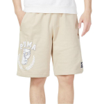 Шорты PUMA Logo, 623255-88