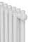 Дизайн-радиатор Royal Thermo Shift R22 VC2050 - 12 секц. RAL9016 — (3)