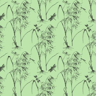 Тростник и стрекозы