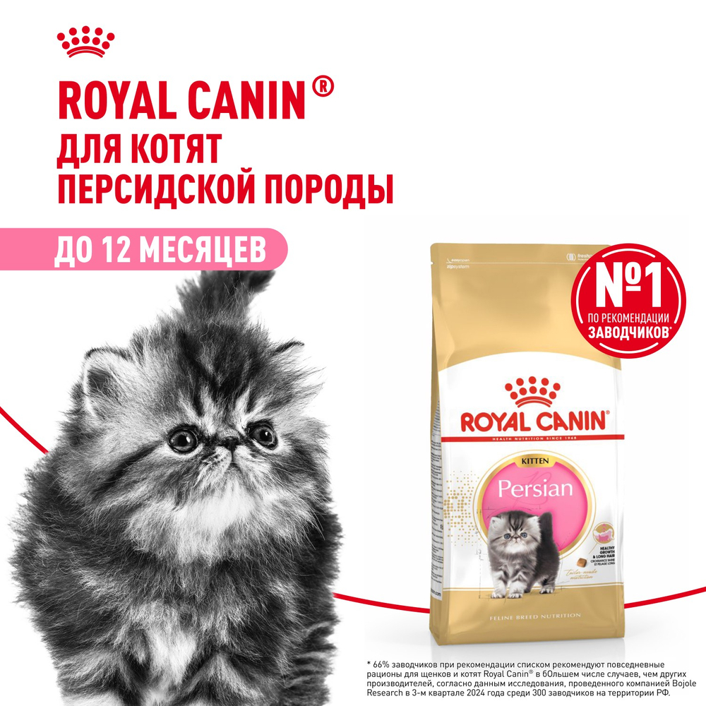 Royal Canin Persian Kitten Персиан Киттен Корм сухой для котят персидской породы до 12 месяцев 10кг