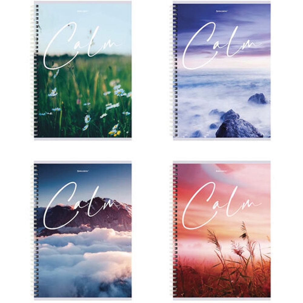 Тетрадь А4, 96 л., BRAUBERG, гребень, клетка, обложка картон, "Calm", 404059, 4шт