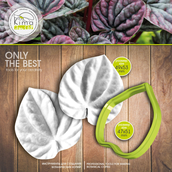 Пеперомия лист средний