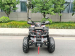 Квадроцикл MOTAX GRIZLIK T 200