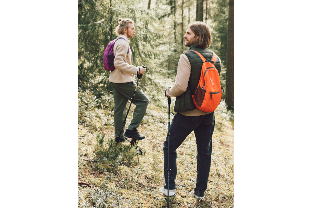 Палки для скандинавской ходьбы RoadLike Зеленый