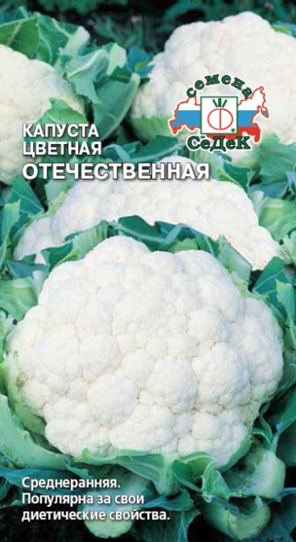 капуста Отечественная