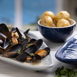 Блюдо сервировочное Nautical, 20х41 см, синее