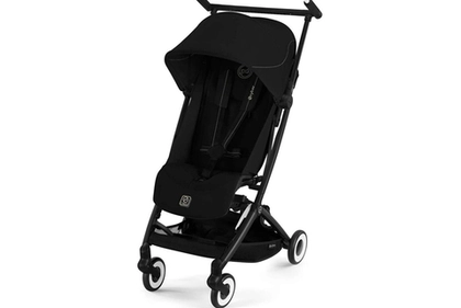 Обзор Cybex Libelle