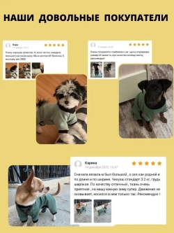 Комбинезон для собак кошек сфинкс кофта костюм для животных