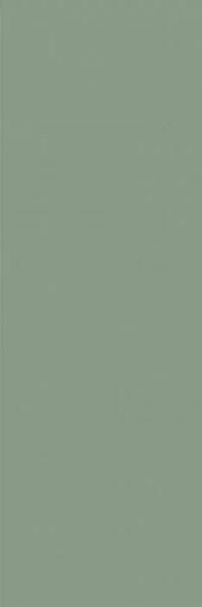 Настенная плитка Ekzotic olive (NB_0403)