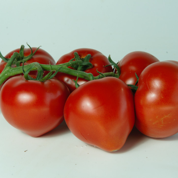 Мимино F1 семена томата индетерминантного (Гавриш) – фото 5