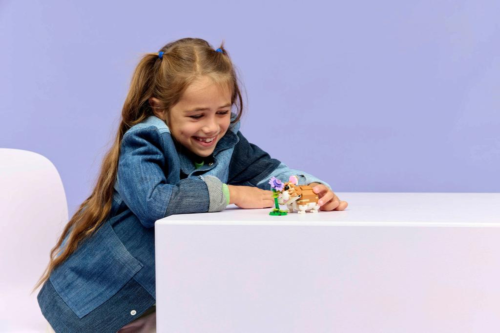 Конструктор Лего Креатор Милый хомяк с цветком — 3в1 | LEGO Creator Cute Hamster 166 деталей (7+) 31376_УЦЕНКА