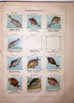 "Рельефный зоологический атлас. Часть третья. Пресмыкающиеся и рыбы.". Гагельберг. 1880г. - антикварное издание