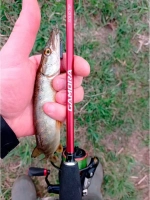 Спиннинг Gamora GMS-702UL 213см 0.5-7гр