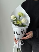 Кулек сборный из оксипеталума, диантусов и хризантемы