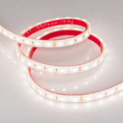Светодиодная лента герметичная RTW-PFS-B60-13mm 24V Day5000 (14.4 W/m, IP68, 5060, 5m) (Arlight, 14.4 Вт/м, IP68) 036462
