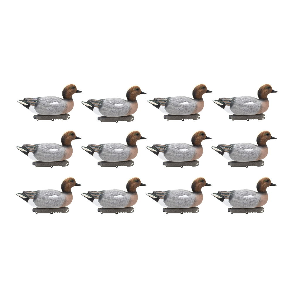 Свиязь "LAST PASS LIVE EURASIAN WIGEON" (12 штук) FA-233510