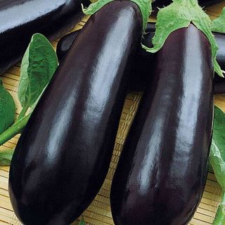 Баклажан Навал F1 (1000 семян)