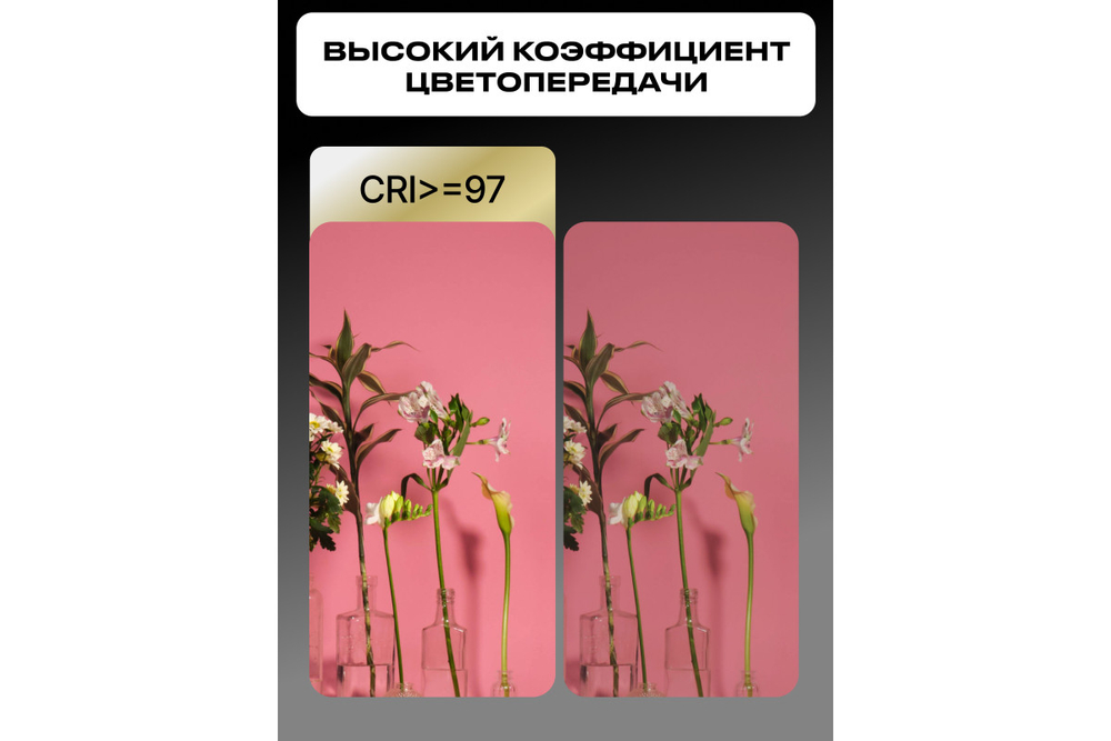 Осветитель светодиодный Raylab RL-100BI 2700-6500K 100W 5000mAh c аксессуарами