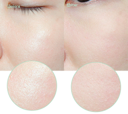 The Saem Saemmul Perfect Pore Pink Pact  компактная пудра для маскировки недостатков кожи с каламином