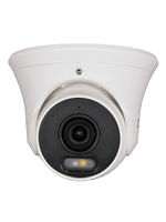 Видеокамера IP TSi-Ee50FP