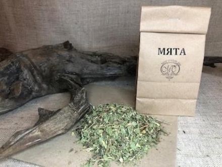 МЯТА