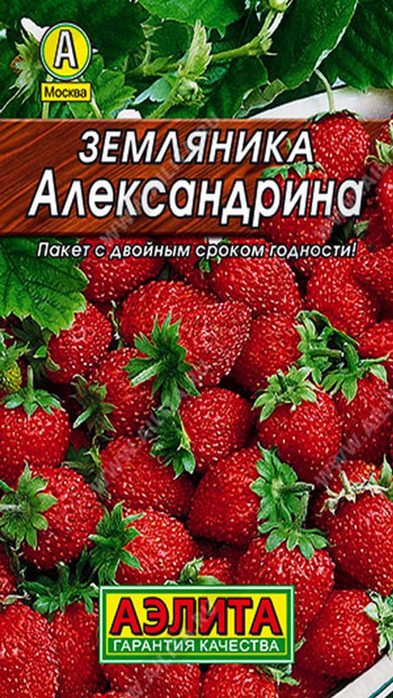 Земляника "СТ. Александрина" 0,04г., Россия. Земляника "СТ. Александрина" 0,04г., Россия.