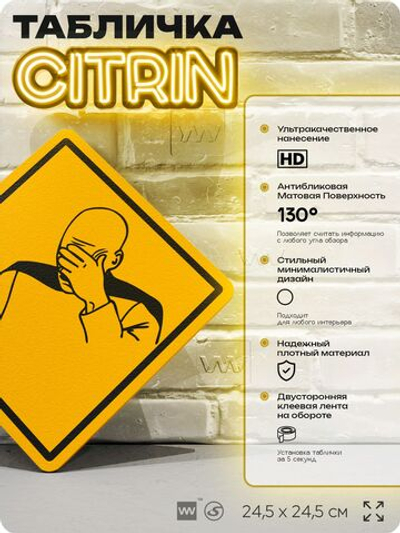 Табличка мем "Фейспалм" шуточная прикольная табличка на дверь и стену, для офиса и дома, декоративный знак, 24,5х24,5 см, пластиковая, Айдентика Технолоджи