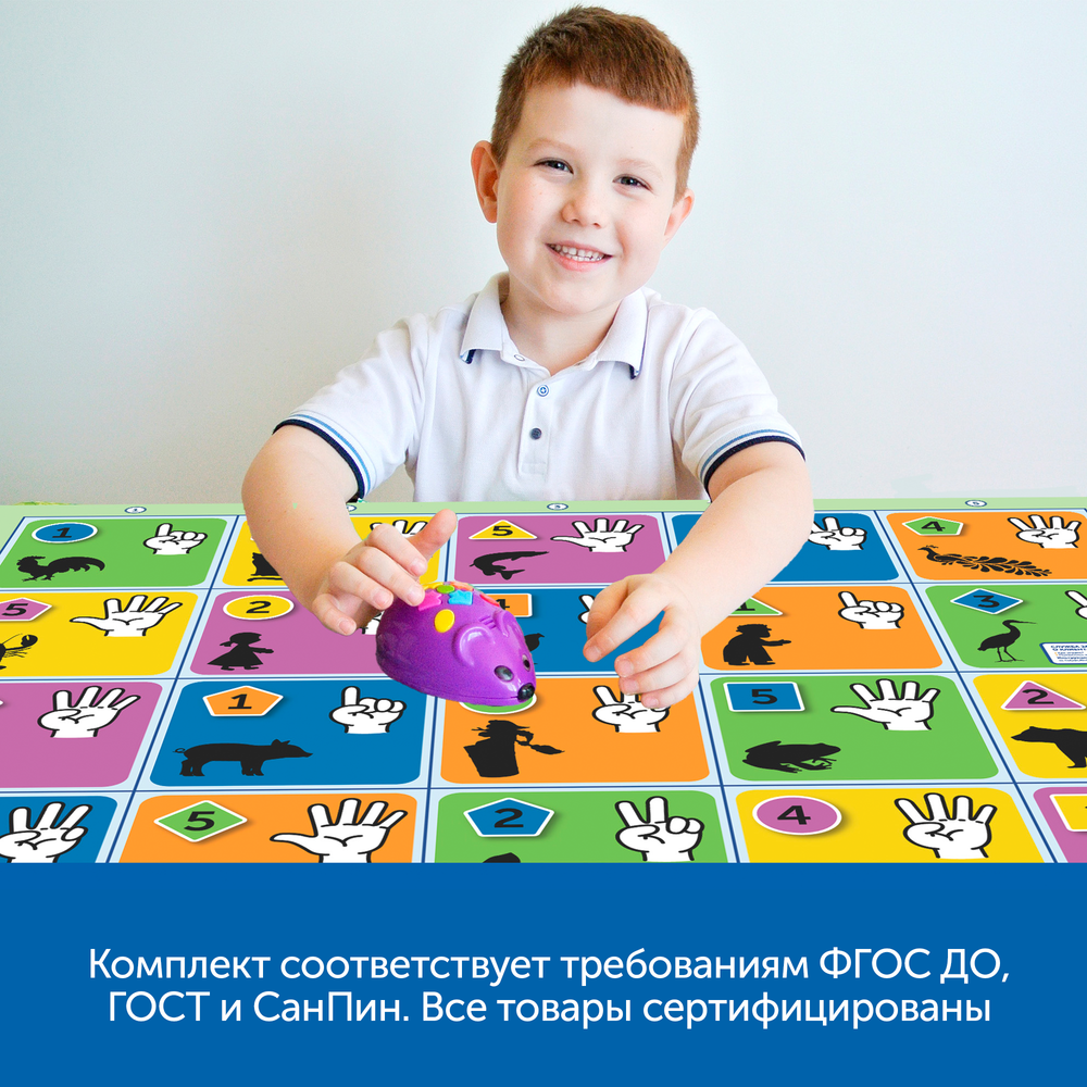 MS0075 Комплект «Нейроигры с РобоМышью для одаренных, нормотипичных и детей с ОВЗ»