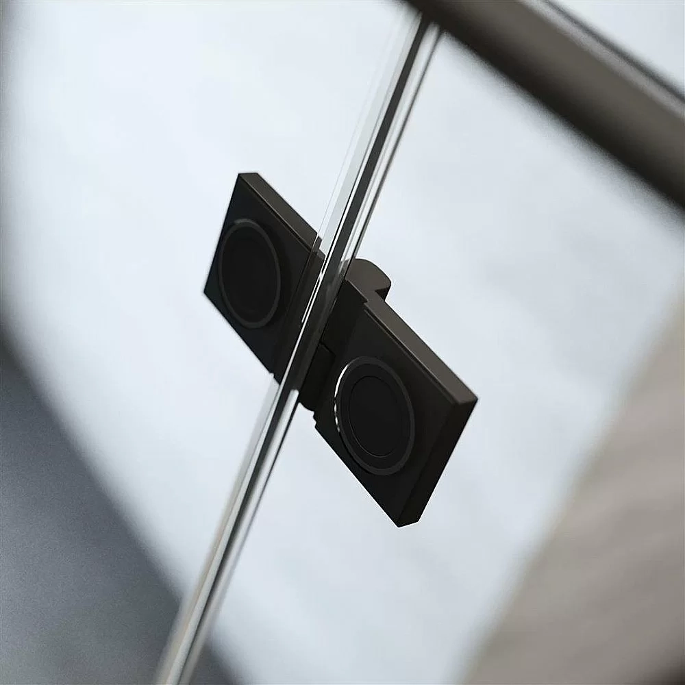 Душевая дверь Radaway Essenza New Black DWJ 100