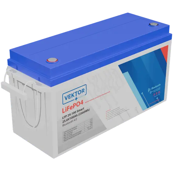 Литий Аккумулятор LFP 24-100 MARINE Series Smart BMS 100A (Bluetooth 4.0)