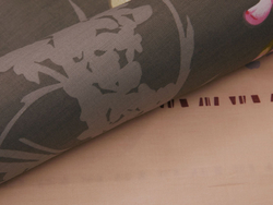 Постельное белье СайлиД B-175 сатин