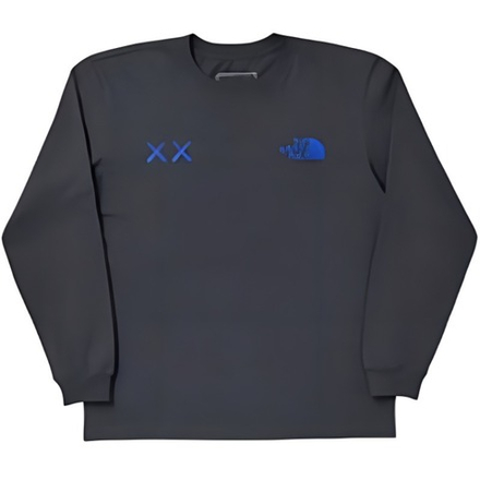 Толстовки THE NORTH FACE x KAWS Logo T, NF0A7WLM-0C5