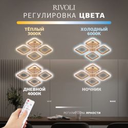 Светильник потолочный светодиодный Rivoli Dorinata 6179-702 LED 64Вт 3000-6000К с пультом | Rivoli