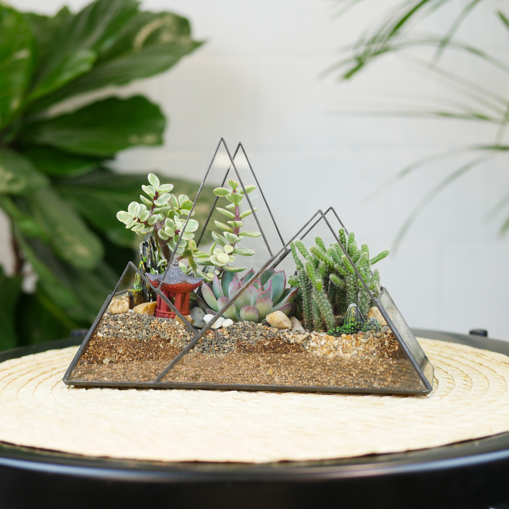 Готовый флорариум с суккулентами Горы "Дух востока"