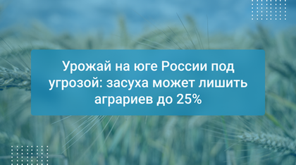 Урожай на юге России под угрозой: засуха может лишить аграриев до 25%