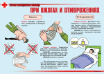 Плакаты "Первая медицинская помощь" (11 шт., А3)
