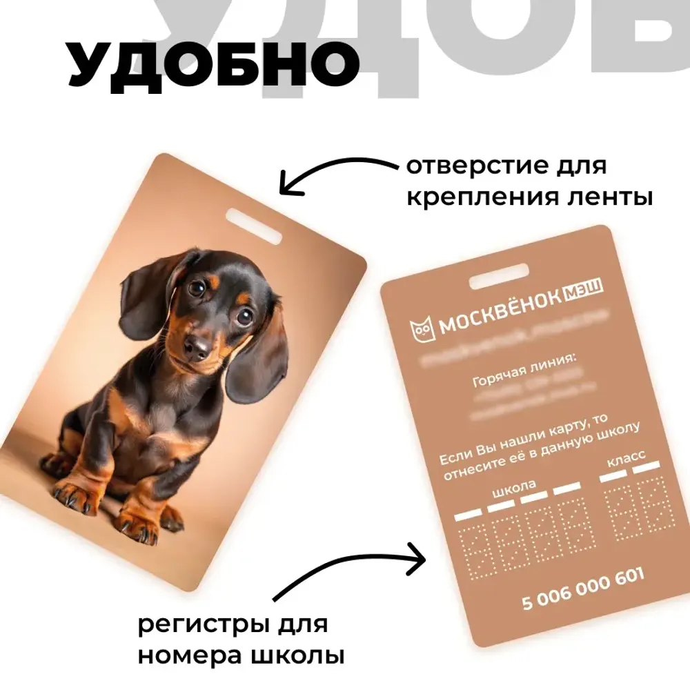 Карта Москвёнок DOGS №7 (проход + питание)