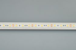 Лента светодиодная Arlight RTW герметичная 034033