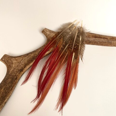 Перья фазана красного